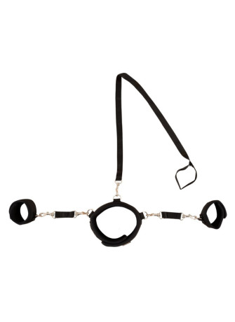Collar with Cuffs and Leash